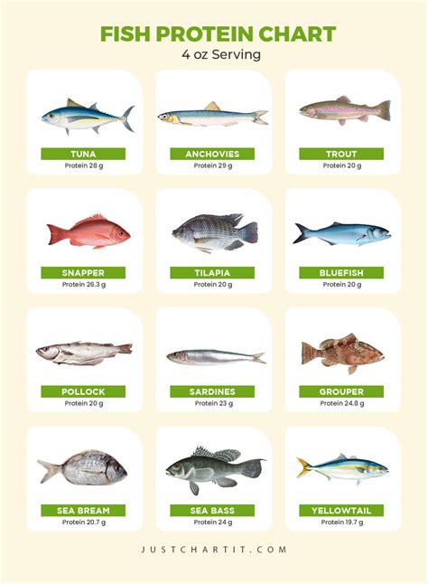 18 Fish With the Most Protein .